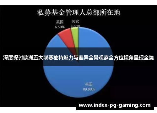 深度探讨欧洲五大联赛独特魅力与差异全景观察全方位视角呈现全貌 深度探讨欧洲五大联赛独特魅力与差异全景观察全方位视角呈现全貌
