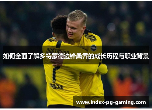 如何全面了解多特蒙德边锋桑乔的成长历程与职业背景